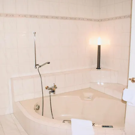 Du Pont Hotel Brig-Glis